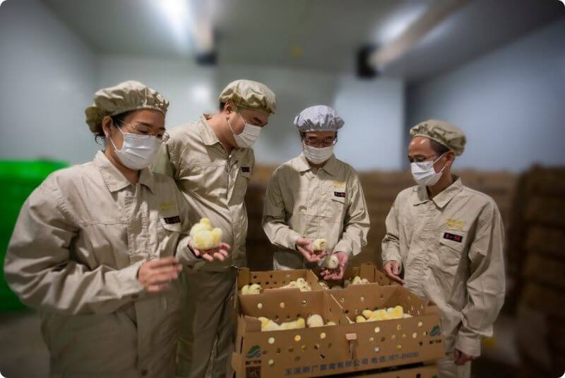 Технологически ориентированная селекция · Инновации для будущего   