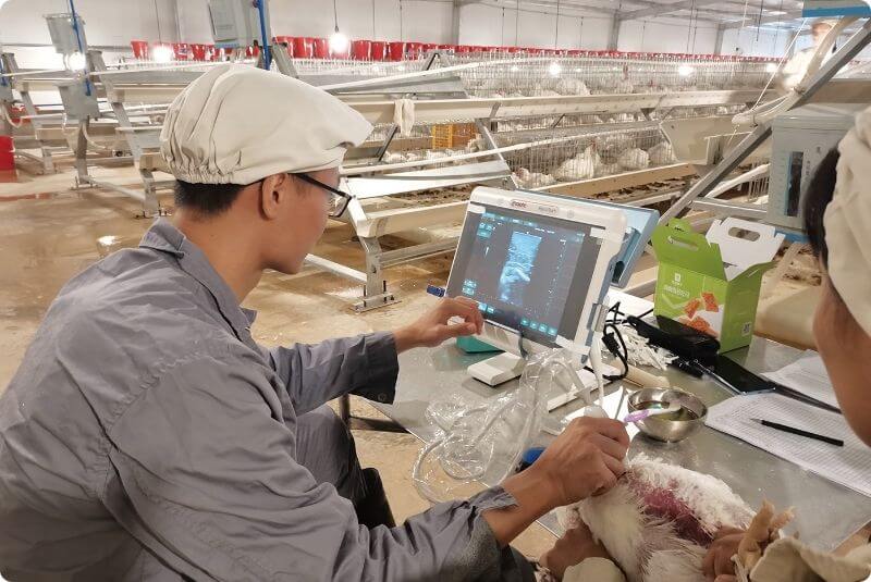 Стремление к совершенству