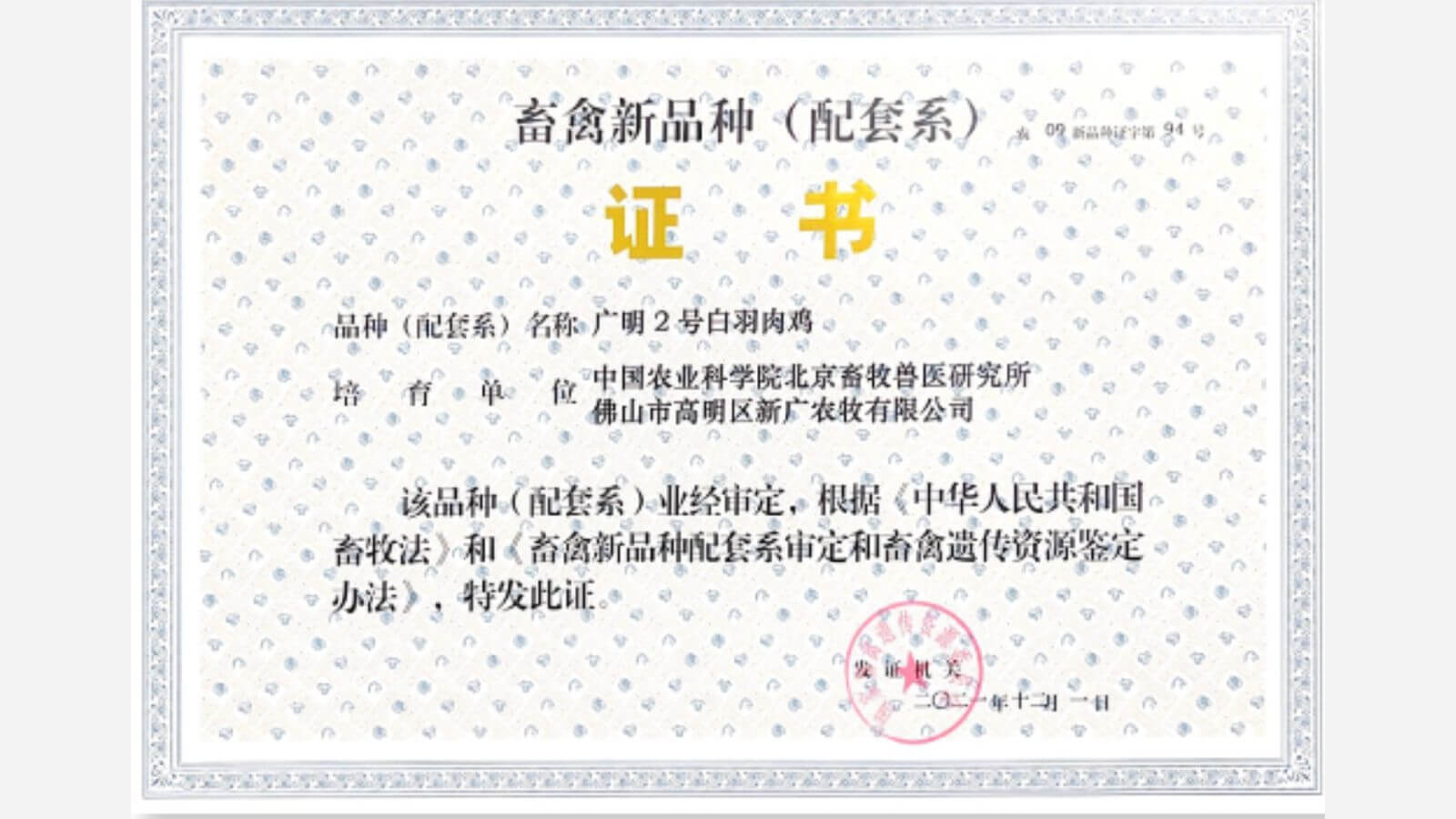 2024–2025: Выход на зарубежные рынки
   