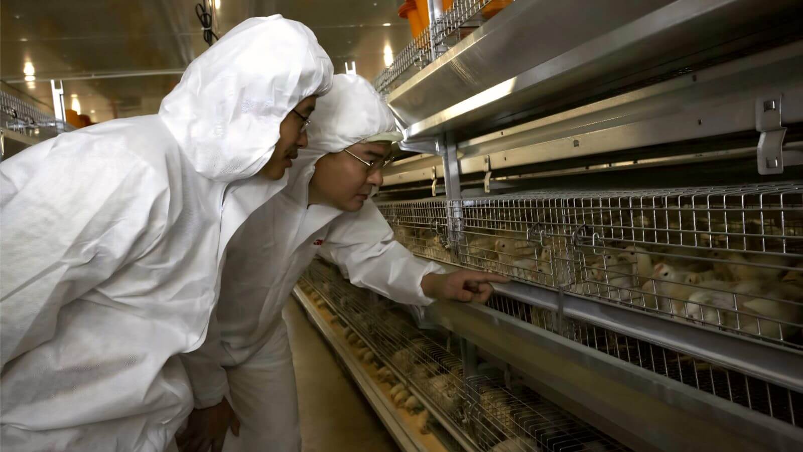 Запуск независимого разведения
   