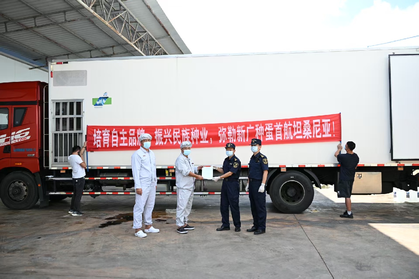 Первая успешная поставка инкубационных яиц родительского стада бройлеров «Гуанмин-2» в Танзанию