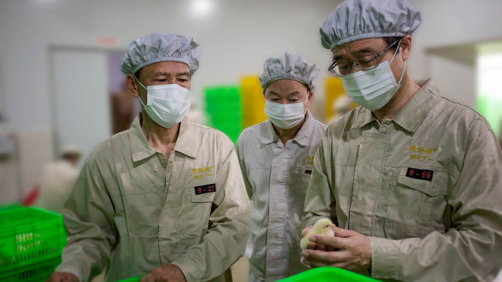 2014–2017: Интеграция промышленности и науки
   